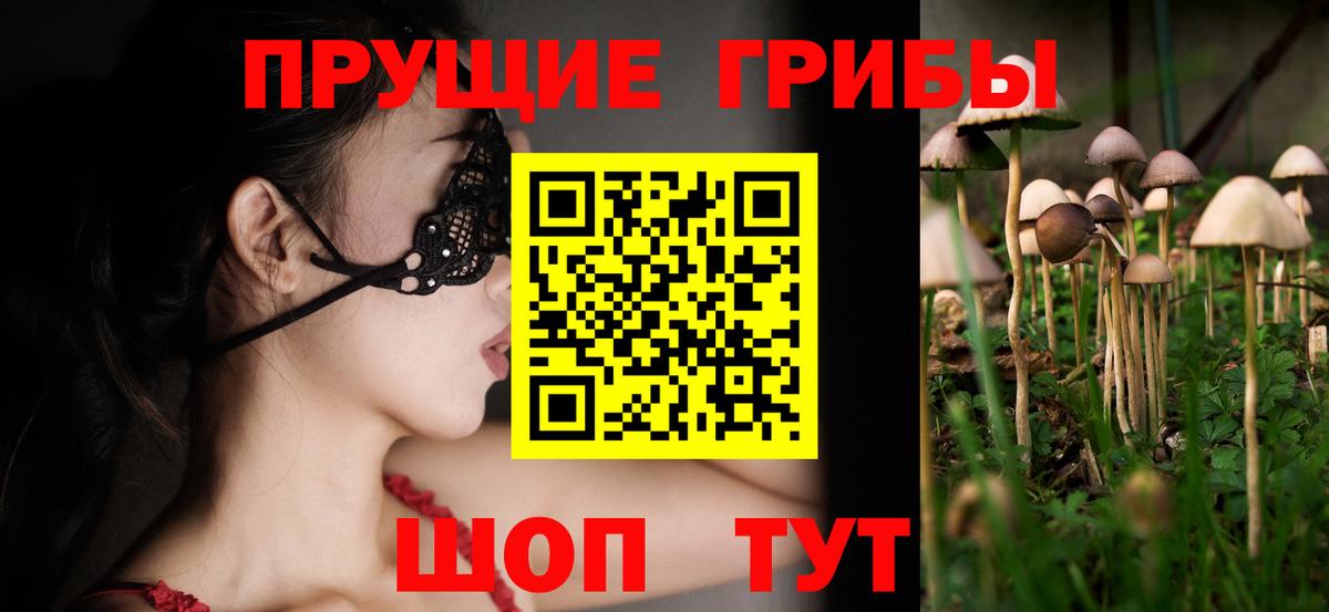 Псилоцибиновые грибы Psilocybine cubensis  Вход с VPN  Котельники 